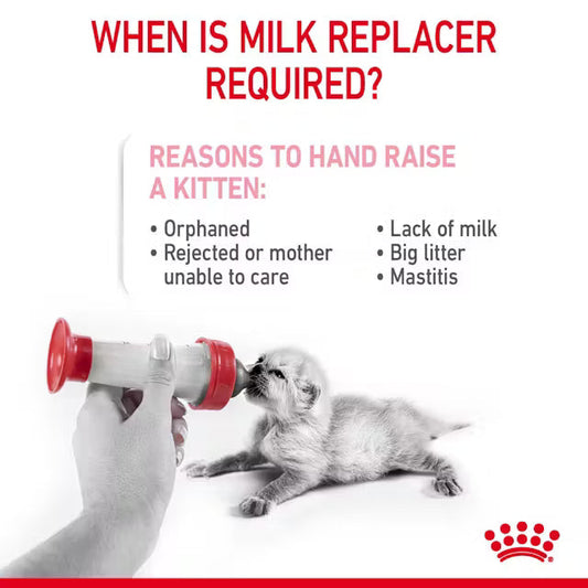 Royal Canin Kitten Milk Replacer – 300g