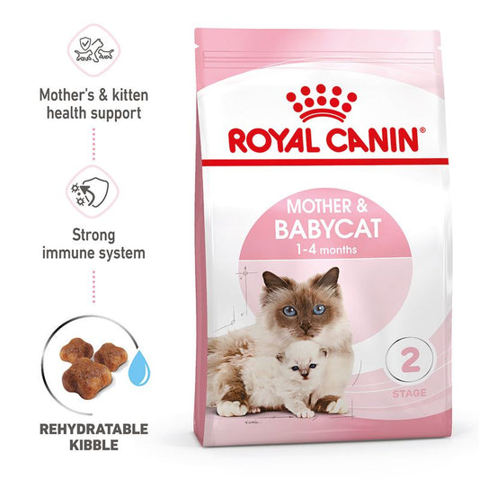 Royal Canin Mother & Baby Cat Dry Food