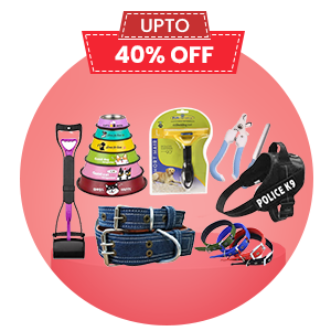 DOGS ACCESSORIES