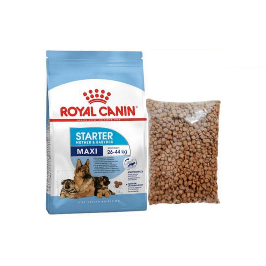 Royal Canin Maxi Starter Mother & Babydog Food