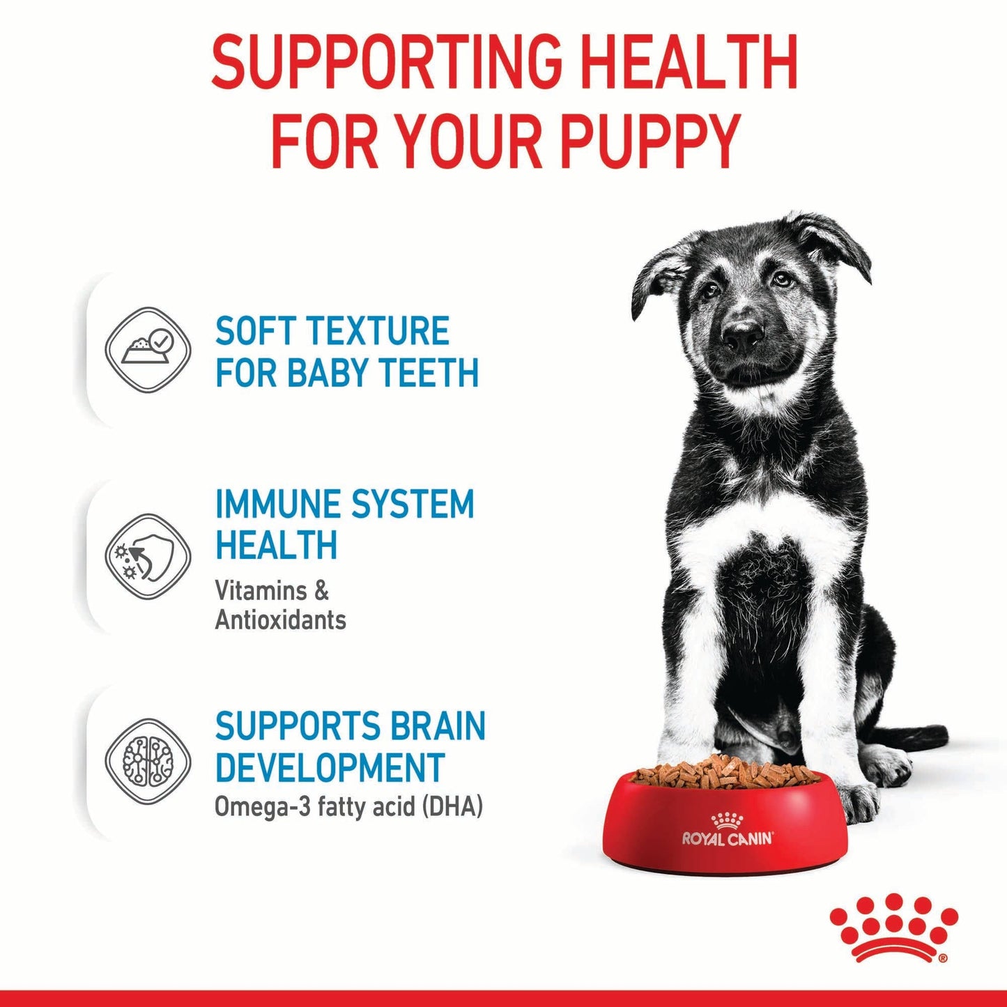 Royal Canin Maxi Puppy 15kg