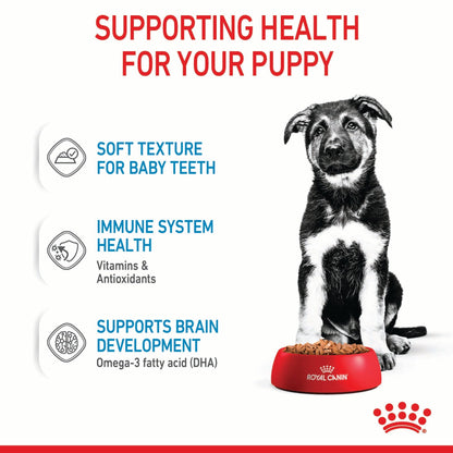 Royal Canin Maxi Puppy 15kg