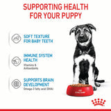 Royal Canin Maxi Puppy 15kg