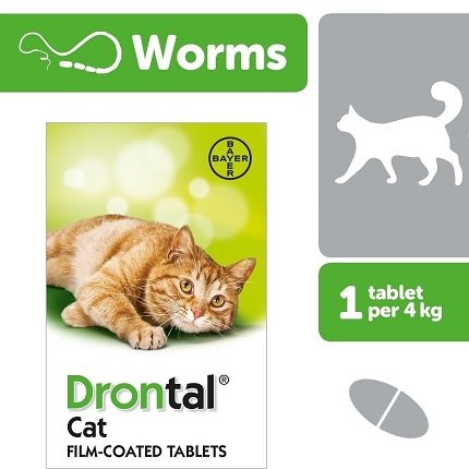 Drontal Deworming Tablets For Cats (1 Tablet)
