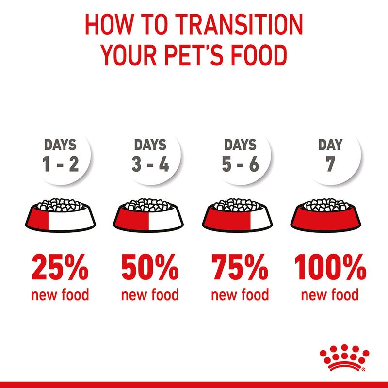 Royal Canin Mother & Baby Cat Dry Food